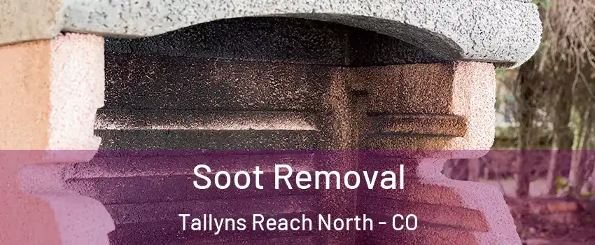 Soot Removal Tallyns Reach North - CO