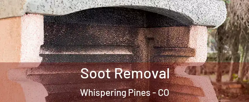 Soot Removal Whispering Pines - CO