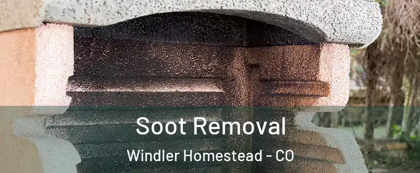 Soot Removal Windler Homestead - CO