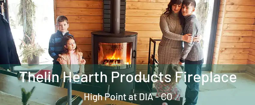 Thelin Hearth Products Fireplace High Point at DIA - CO