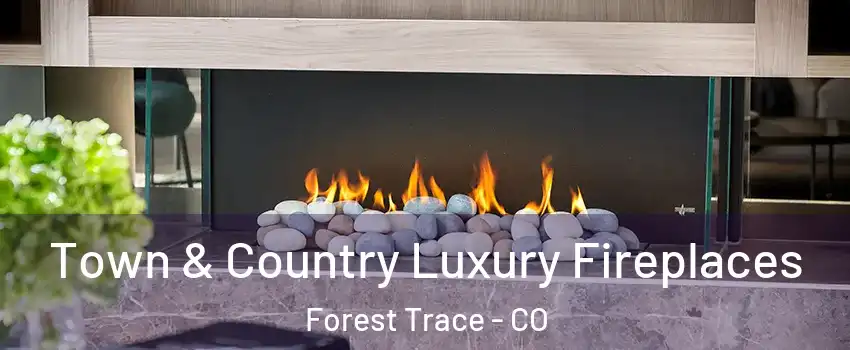 Town & Country Luxury Fireplaces Forest Trace - CO