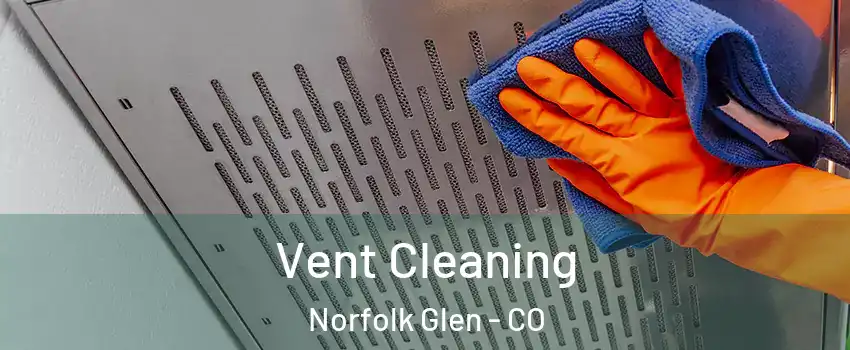 Vent Cleaning Norfolk Glen - CO