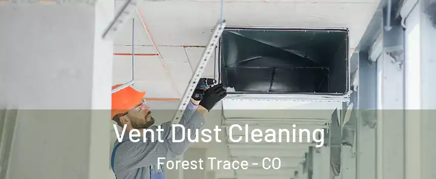 Vent Dust Cleaning Forest Trace - CO