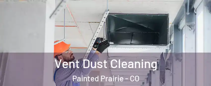 Vent Dust Cleaning Painted Prairie - CO