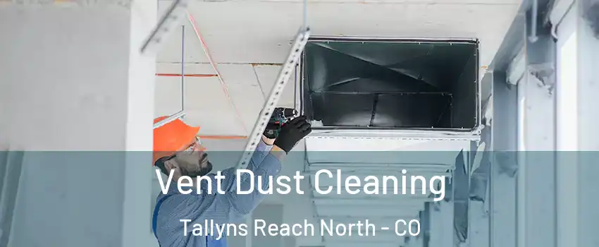 Vent Dust Cleaning Tallyns Reach North - CO