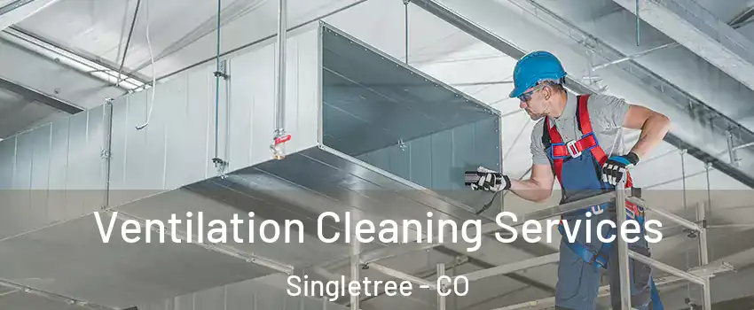 Ventilation Cleaning Services Singletree - CO