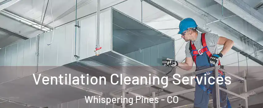 Ventilation Cleaning Services Whispering Pines - CO