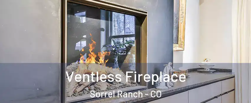 Ventless Fireplace Sorrel Ranch - CO