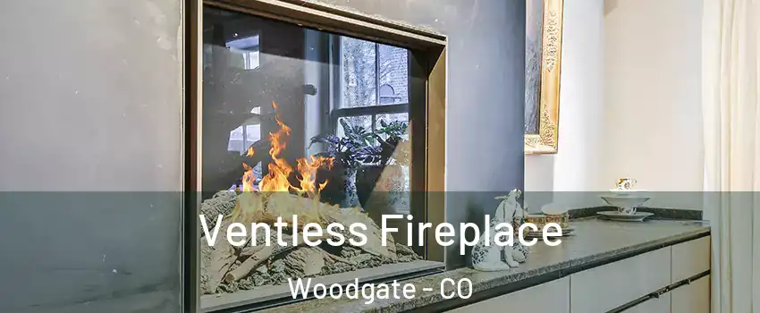 Ventless Fireplace Woodgate - CO