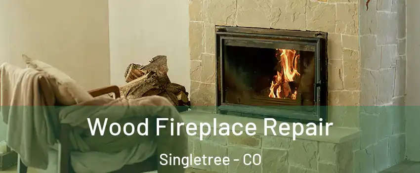 Wood Fireplace Repair Singletree - CO