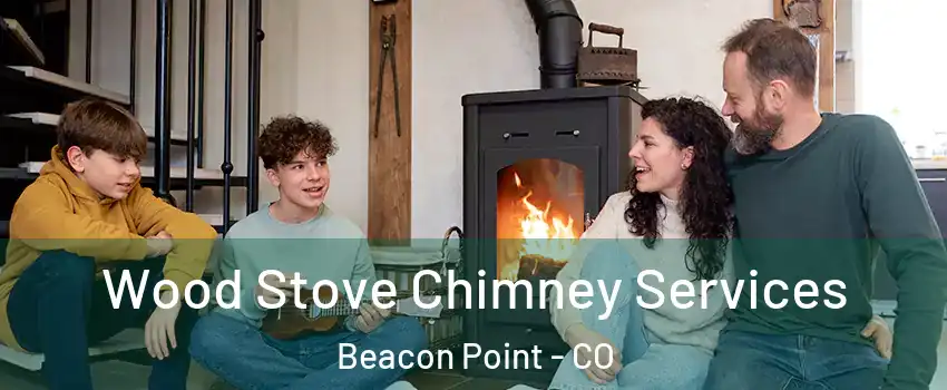 Wood Stove Chimney Services Beacon Point - CO