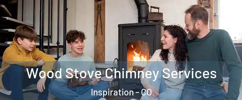 Wood Stove Chimney Services Inspiration - CO