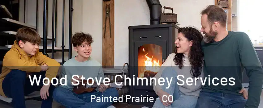 Wood Stove Chimney Services Painted Prairie - CO