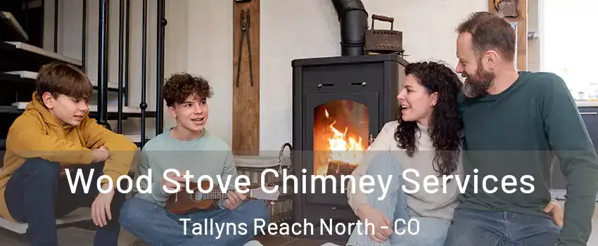 Wood Stove Chimney Services Tallyns Reach North - CO