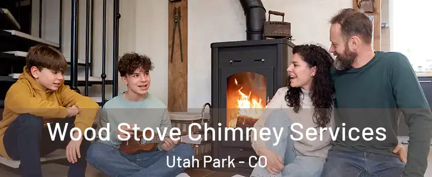 Wood Stove Chimney Services Utah Park - CO