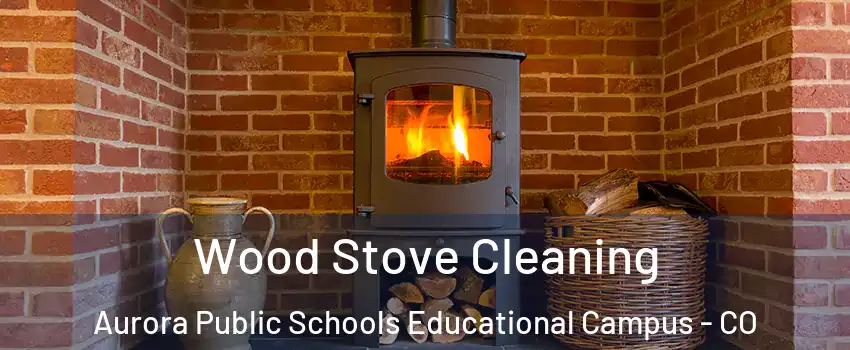 Wood Stove Cleaning Aurora Public Schools Educational Campus - CO