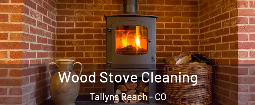 Wood Stove Cleaning Tallyns Reach - CO