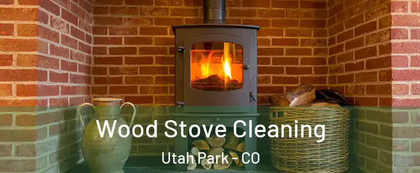 Wood Stove Cleaning Utah Park - CO