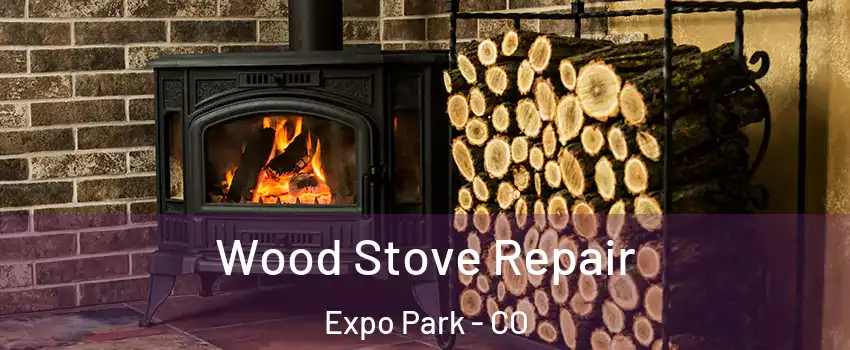 Wood Stove Repair Expo Park - CO